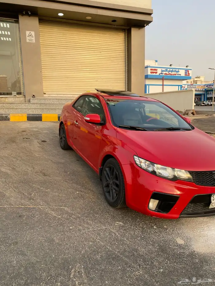 سيراتو كوبية 2011 1