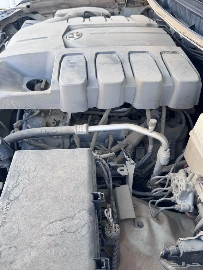 جكسار ( 3 نظيف سعودي ) 86