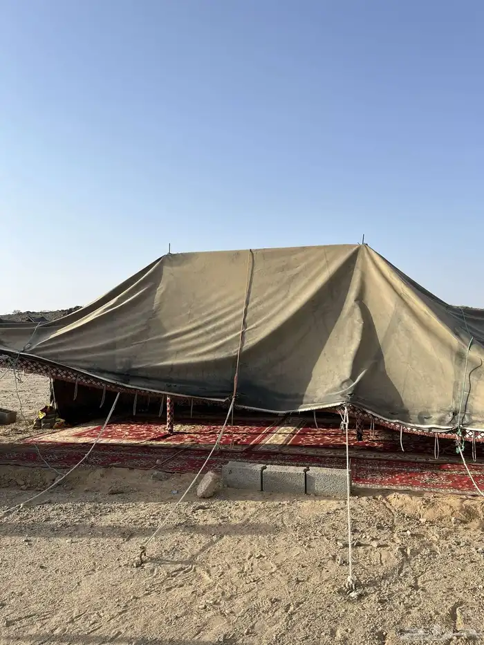 بيت شعر 9في 4 5