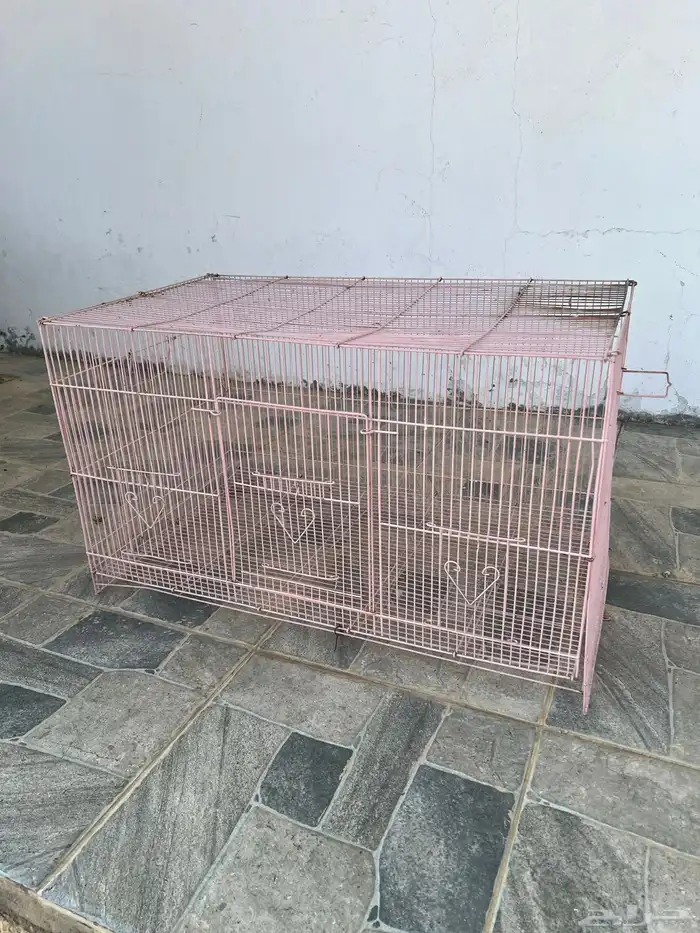 شبك للطيور والبساس كبير 2