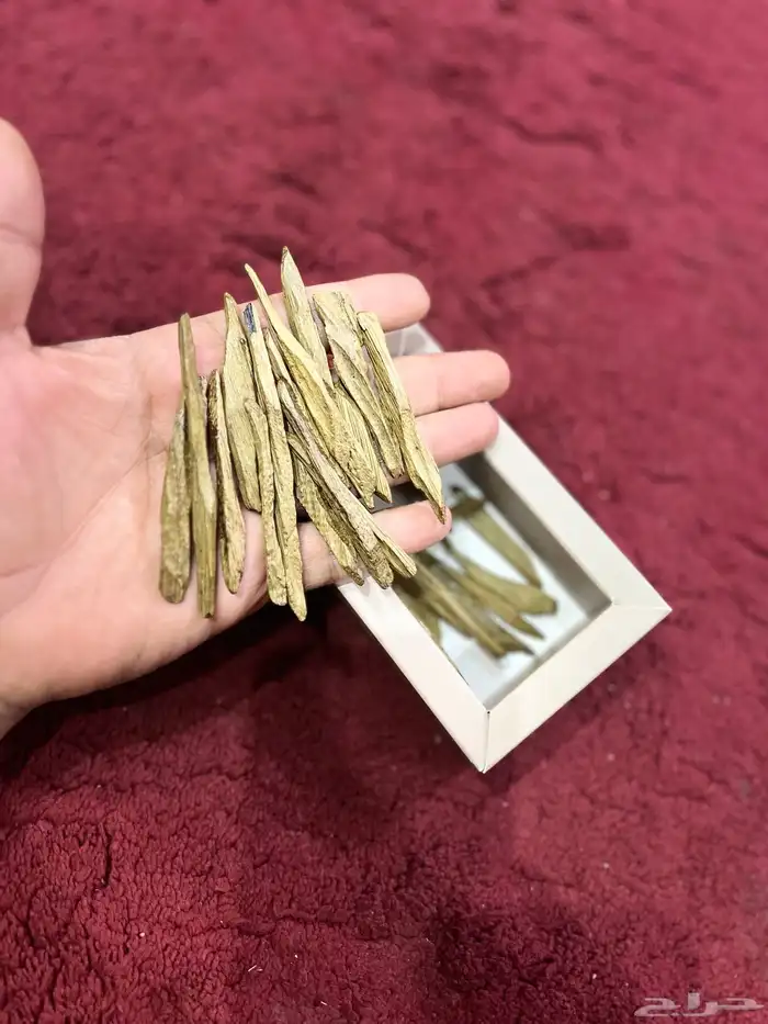 عود سلا فتنامي محسن 1