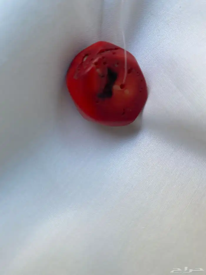 حجر مرجان اصلي مئه بالمئه 1