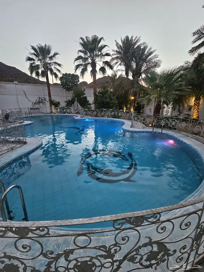 استراحة لاقينا هوم اشجار وزرع ومسبح 17