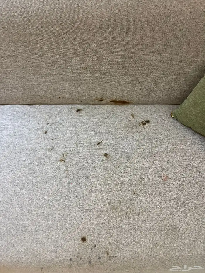 كنب 4 في 5 مع الموكيت والطاولة 3