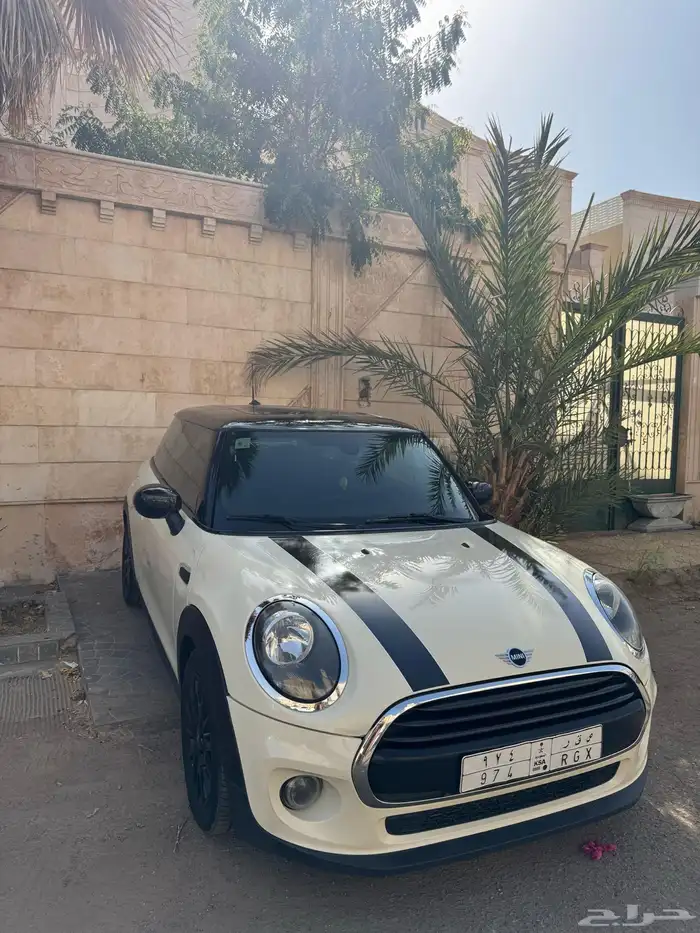 مني كوبر 2020 1