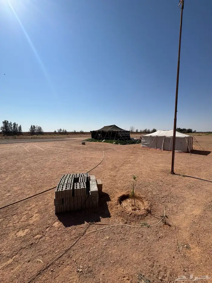 للبيع مزرعة بصك مستقل بام رقاتين 4