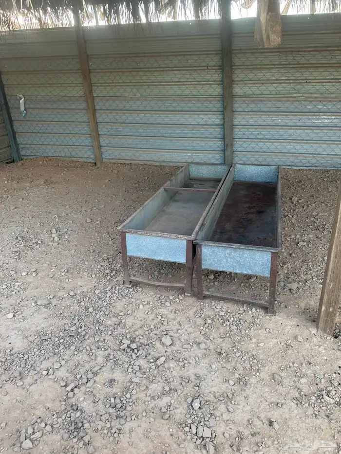 معالف غنم للبيع وبيت شعر خيمه 2 1