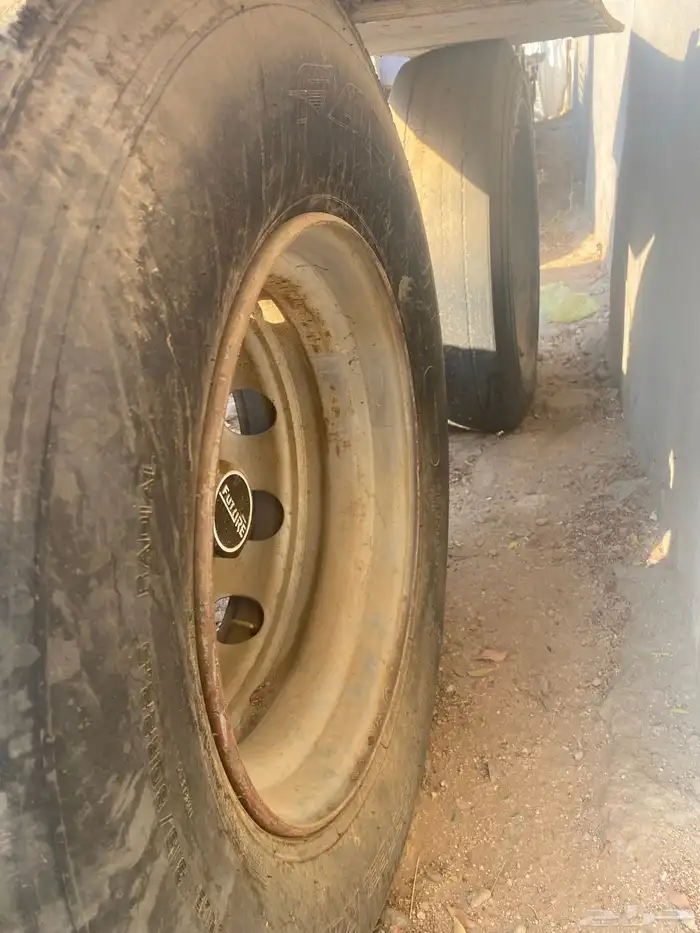 للبيع قاعده 12 5