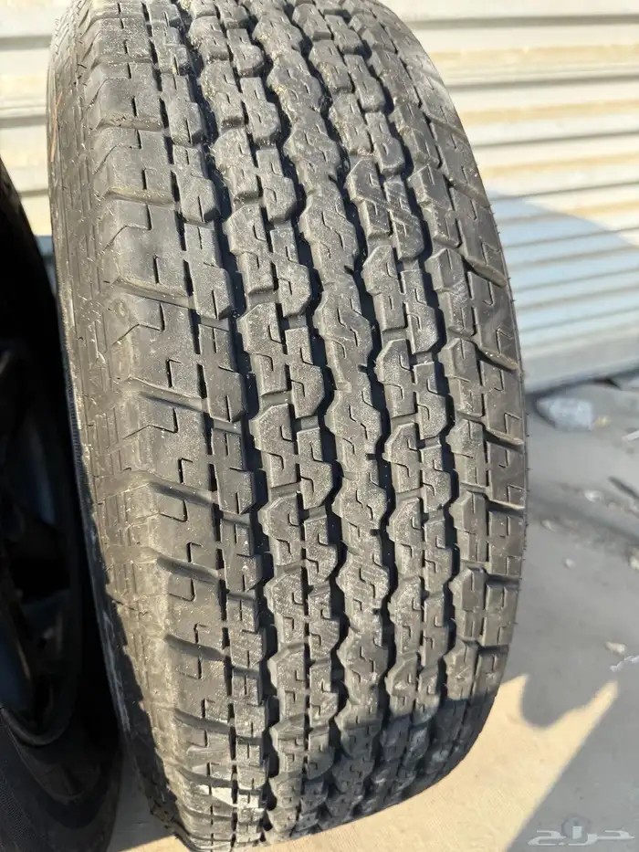 جنوط شروكي 1998 نجمه 8