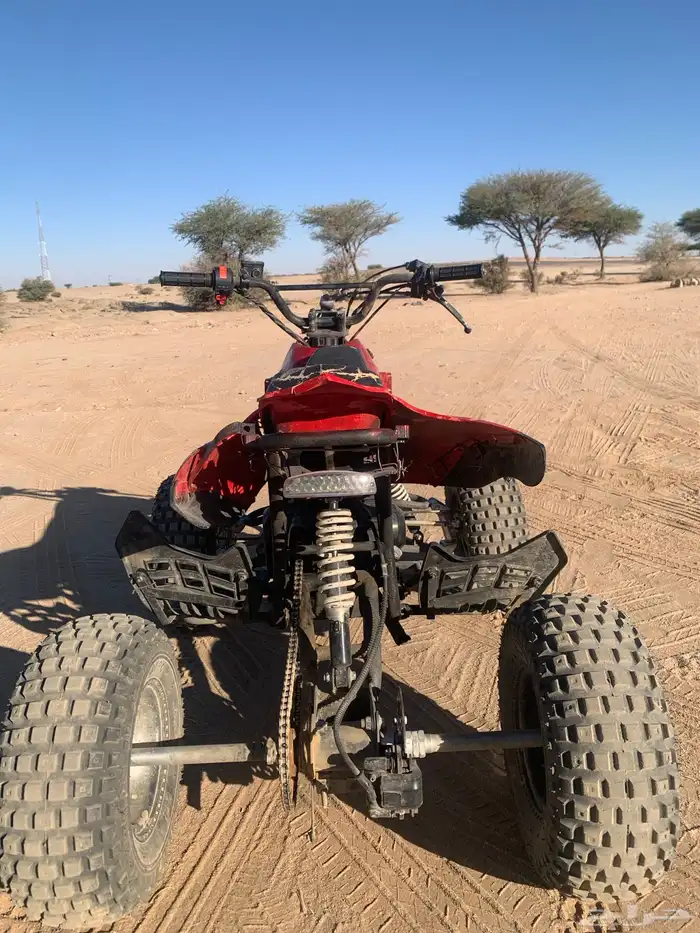 البيع دباب الحجم الكبير 2