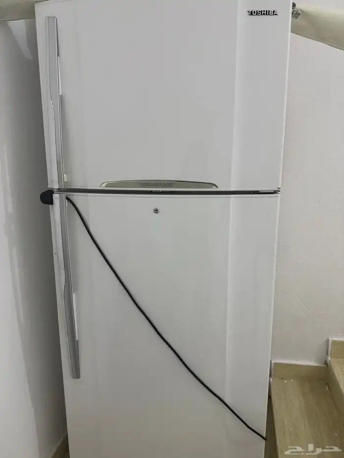 الشفاء حي بدر 0