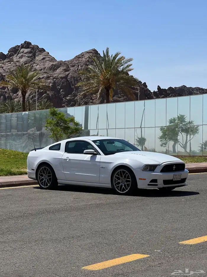 موستنج 2014 ممشى قليل 0