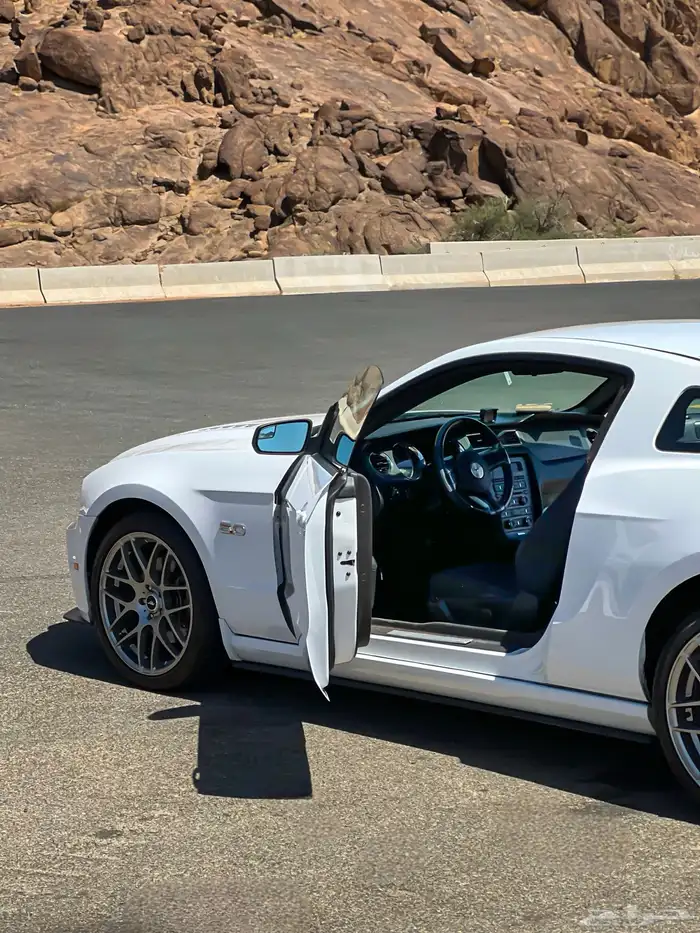 موستنج 2014 ممشى قليل 4