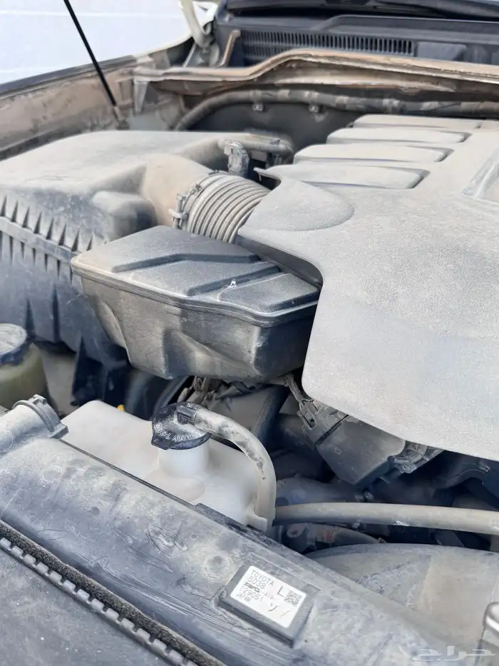 جكسار ( 3 نظيف سعودي ) 84