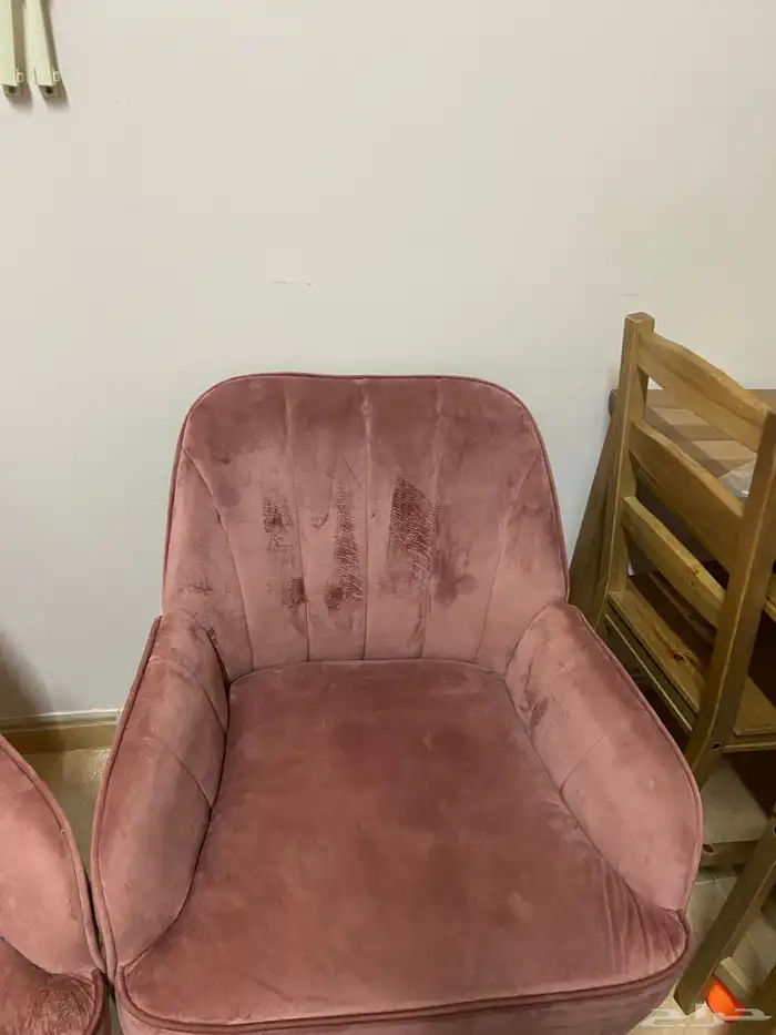 كنب قطتين القماش مخمل نظيفه السعر 1000 2