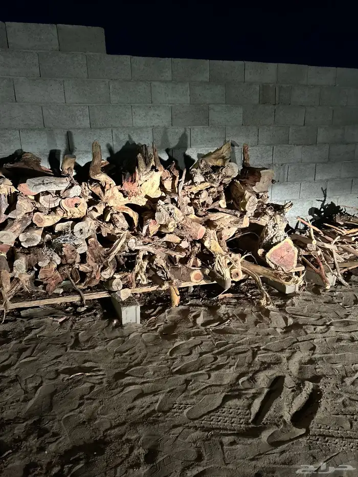 حطب مستورد 2