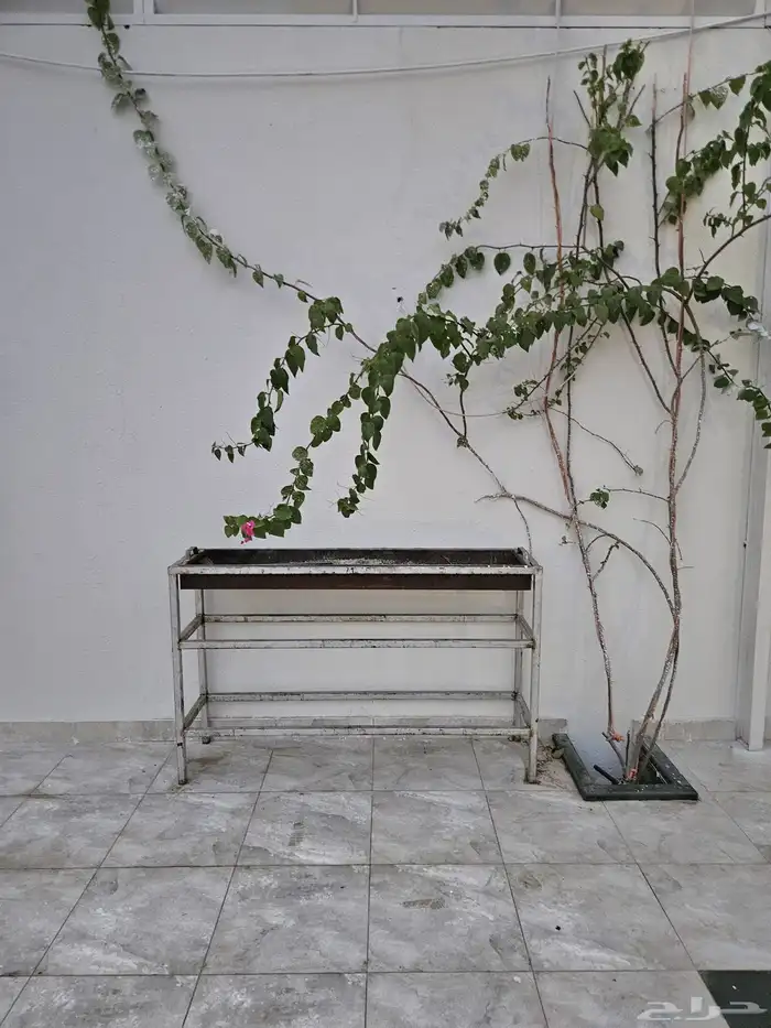 استراحة لاقينا هوم اشجار وزرع ومسبح 11