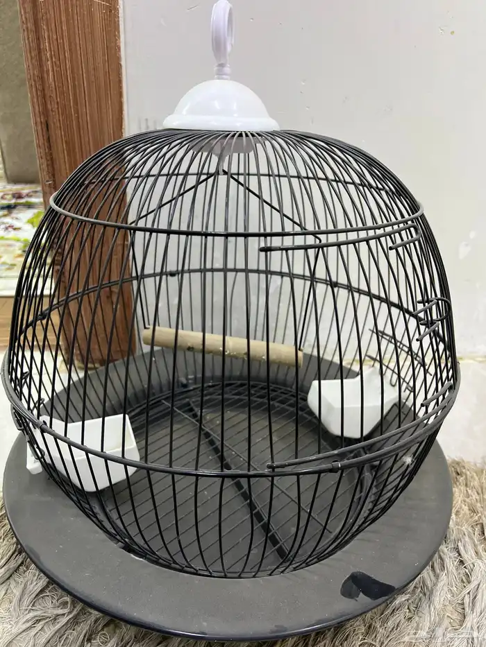 قفص عصفور زينه 0