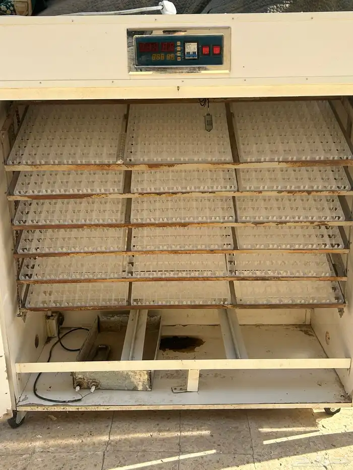 فقاسه وطنيه 1