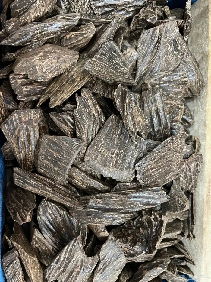 تصفيه شامله للكمية عود ازرق 3