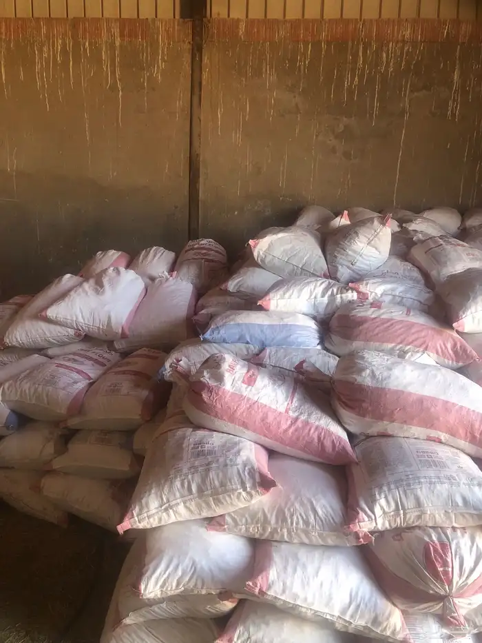 للبيع تمر علف 2