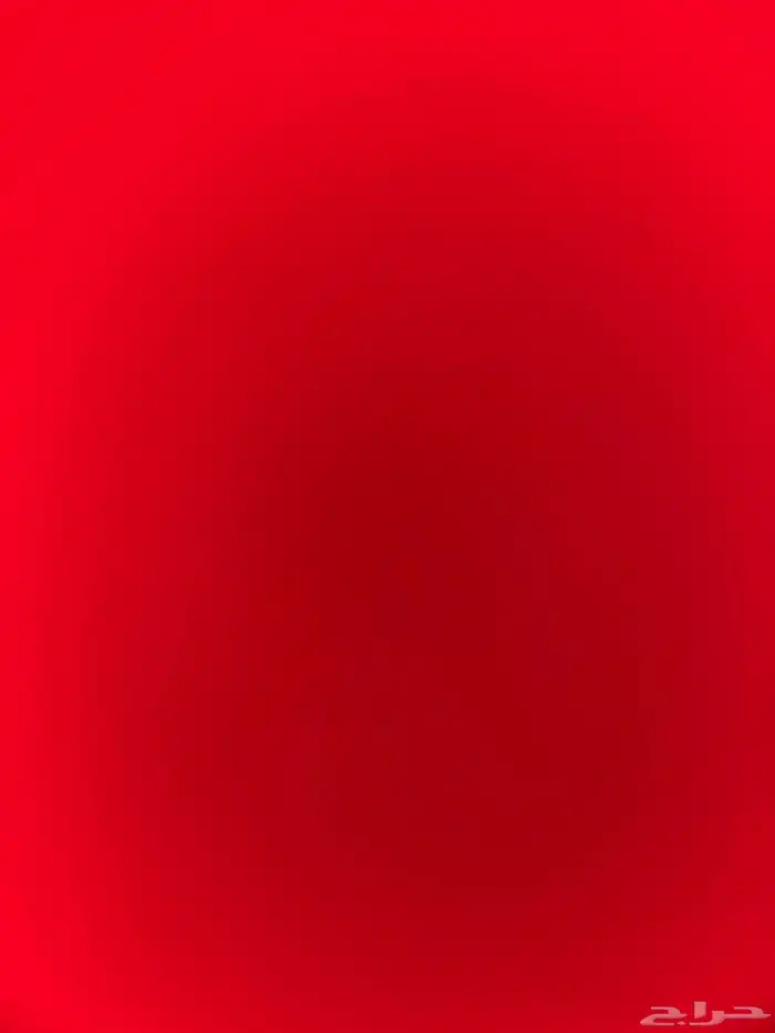 قط ضايع قطو ضايع بسه ضايعه بالشارع اسود سوداء 0