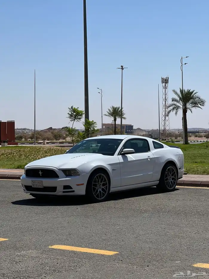 موستنج 2014 ممشى قليل 1