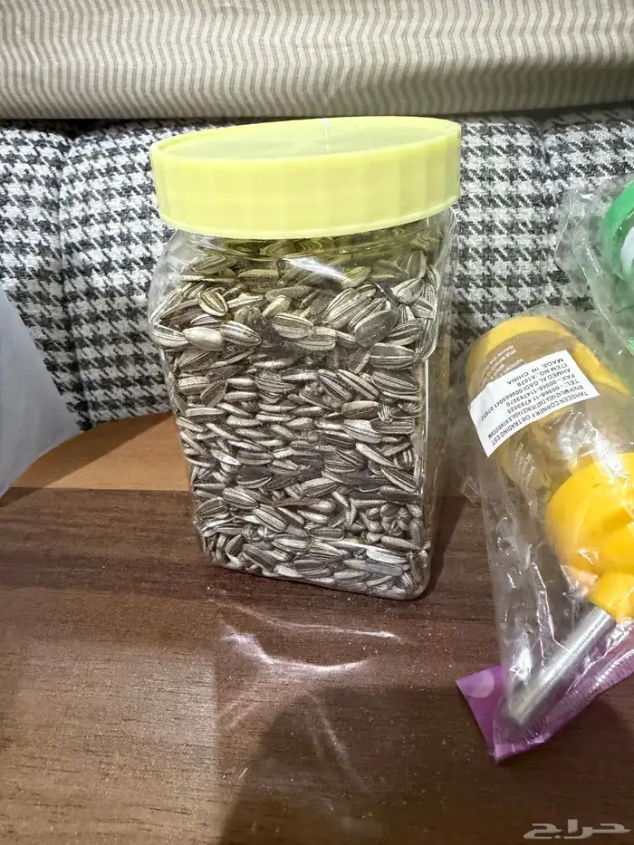 هامستر ونتر وايت للبيع 19