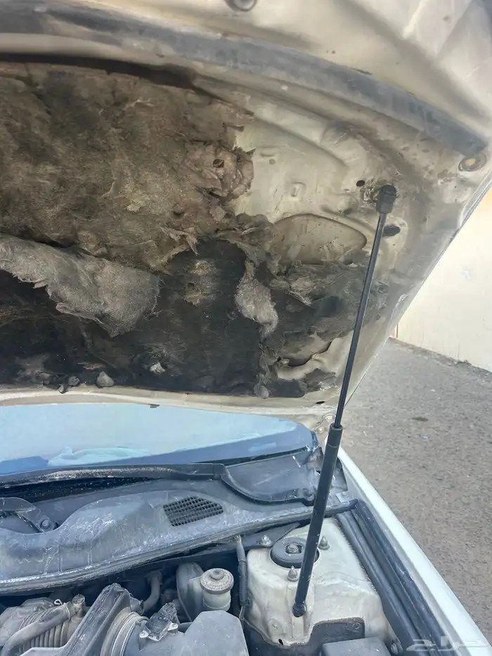 افالون 2010 14