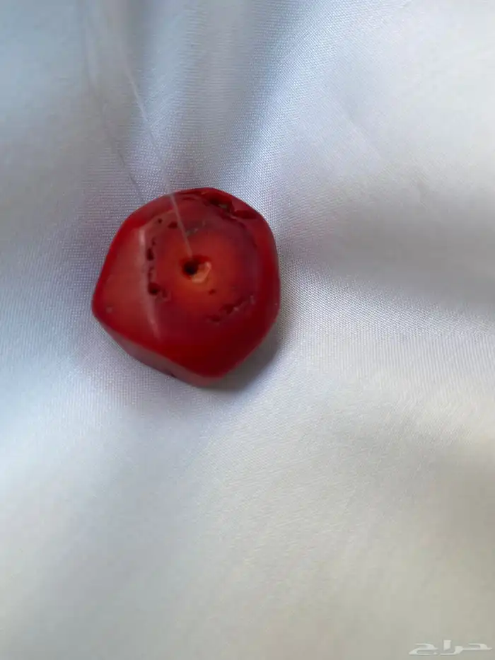 حجر مرجان اصلي مئه بالمئه 0