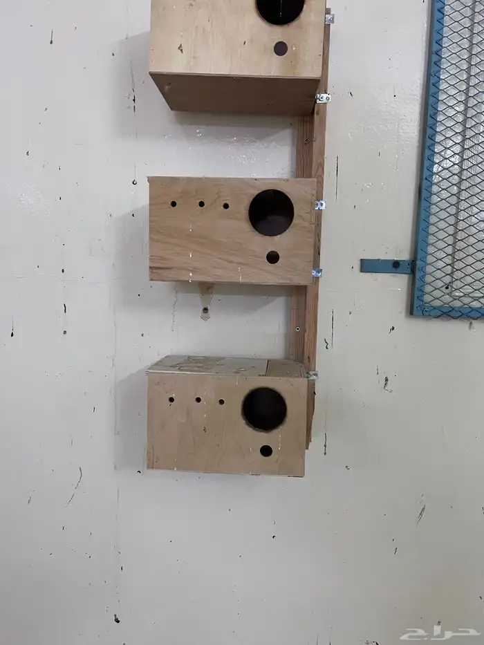 كنيور للبيع واغراض مطير 7