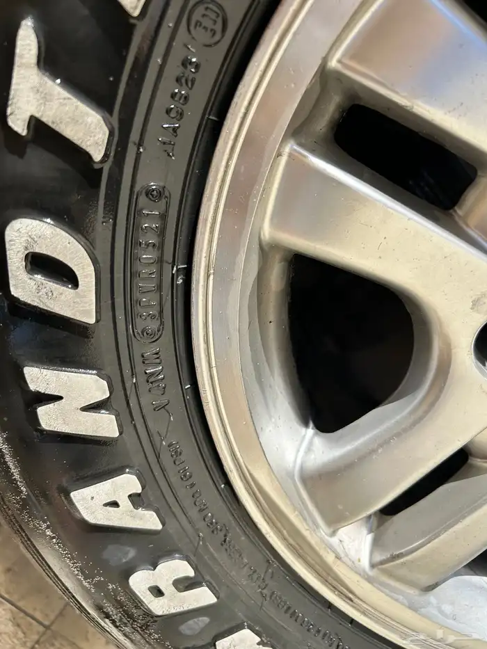 جنوط الحميد 0