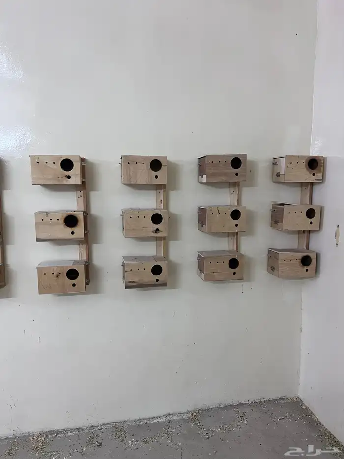 كنيور للبيع واغراض مطير 6