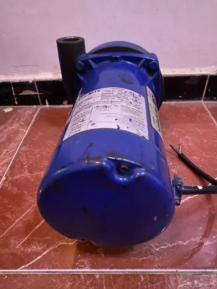 دينمو سمنان أمريكي 6