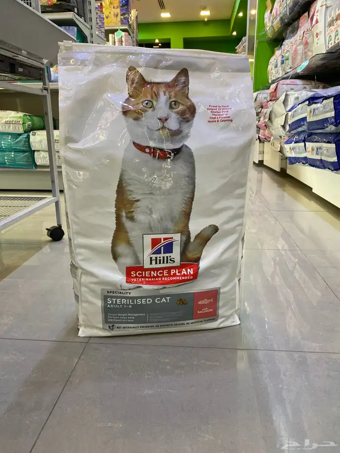 دراي فود هيلز 1