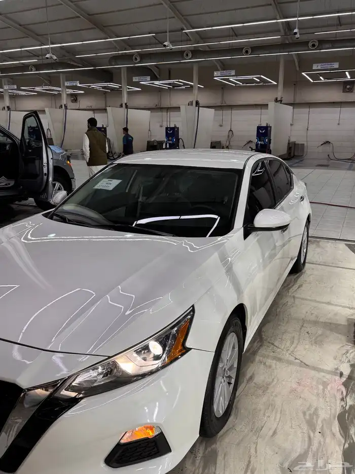 نسيان التيما 2020 4