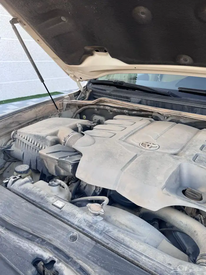 جكسار ( 3 نظيف سعودي ) 81