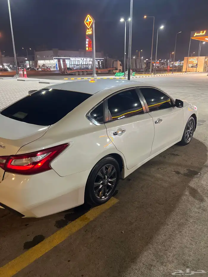 التيماء ستاندر 2017 3