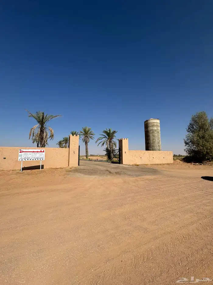 للبيع مزرعة بصك مستقل بام رقاتين 0