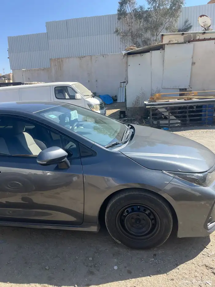 كورولا 2020 ستاندو 1