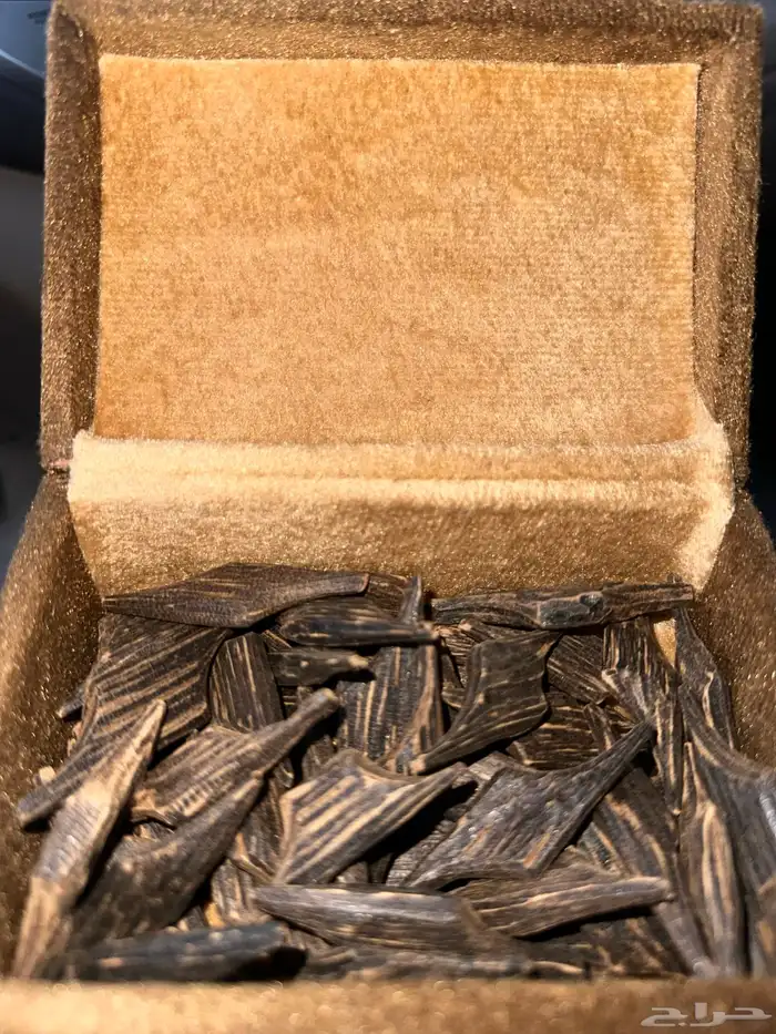 عود أزرق طبيعي 3