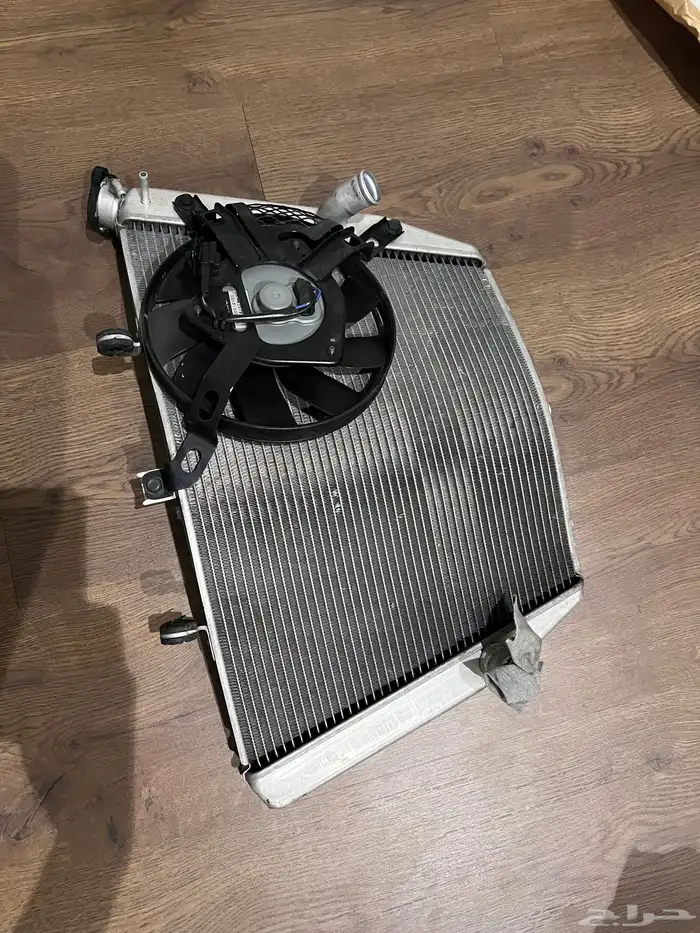 لديتر ريس 1000 2007 0