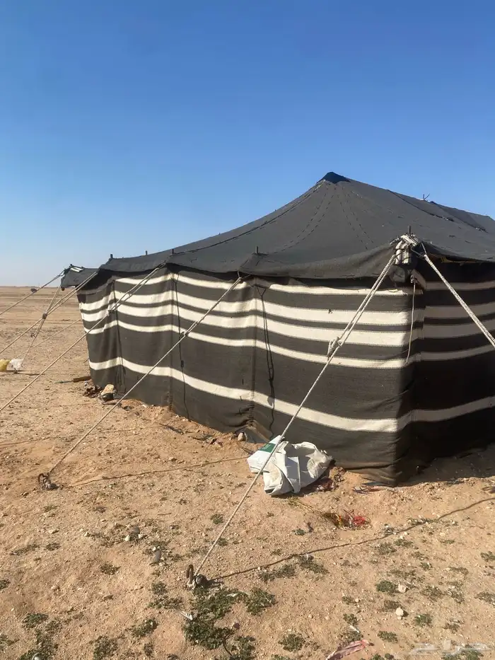 خمتين بيت شعر مقاس 14في 6 ومقاس 7في 5 تقريبا 11