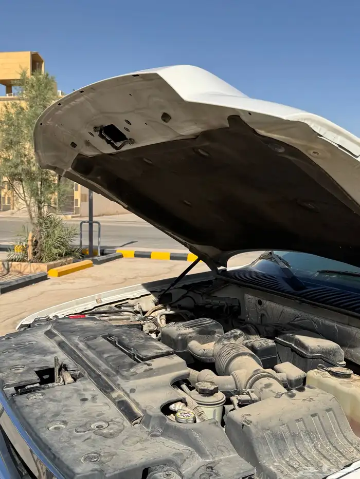 فورد اكسبيدشن 2013 19