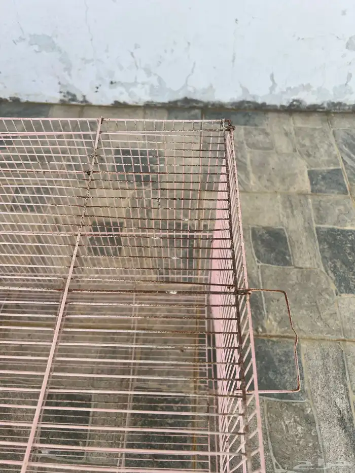 شبك للطيور والبساس كبير 3