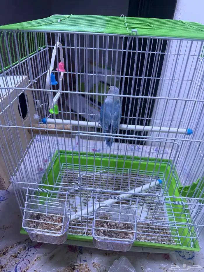 حفر الباطن المدينه العسكريه بيع طير روز 0