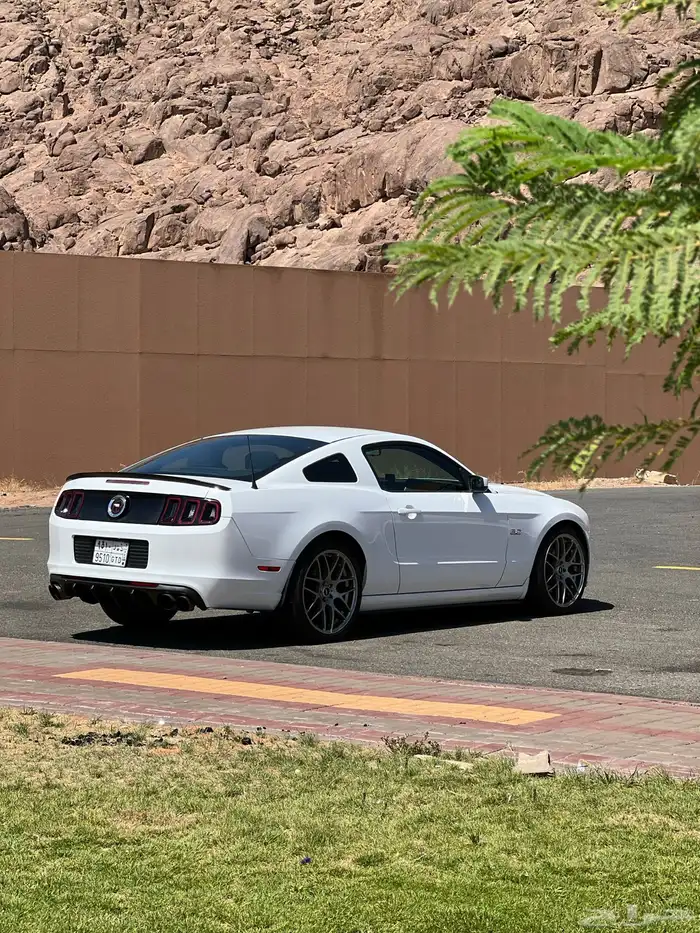 موستنج 2014 ممشى قليل 2