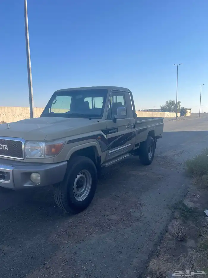 شاص 2013 مدينه عفيف 16