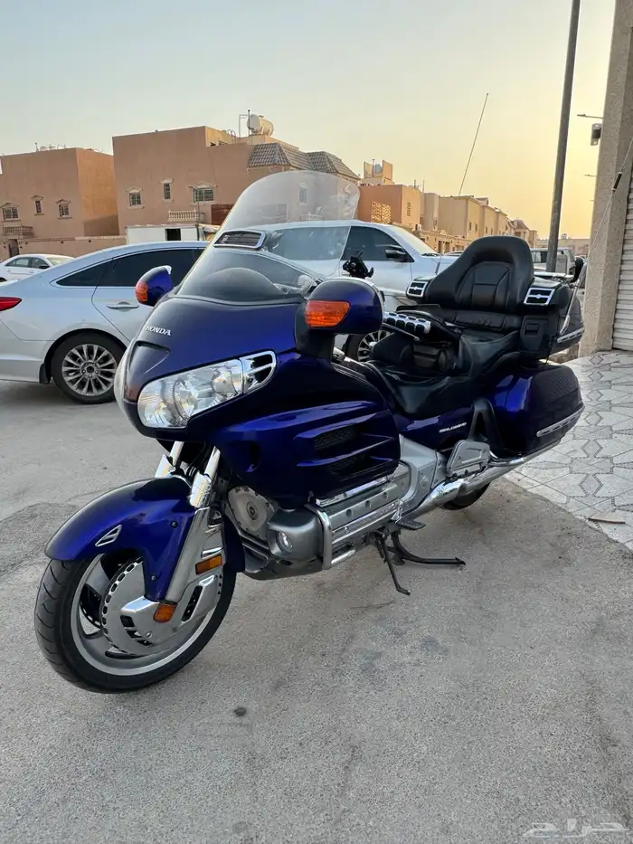 قولد وينق 2003 11