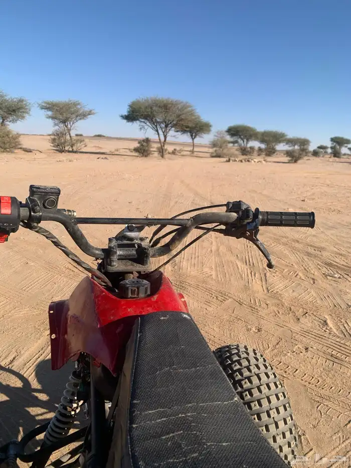 البيع دباب الحجم الكبير 5